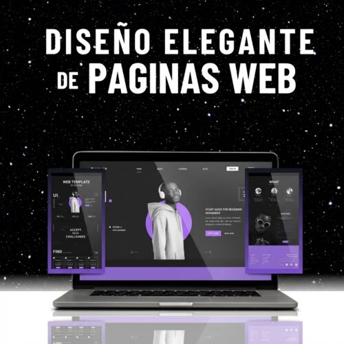 Diseño de Paginas Web en Puerto Vallarta